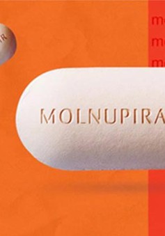 Chính thức: Giá thuốc Molnupiravir do Việt Nam sản xuất thấp nhất là 8.675 đồng/viên