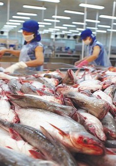 Thủy sản Việt Nam được thị trường Mỹ quan tâm