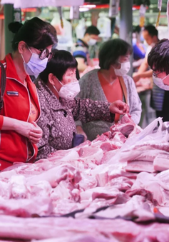 Giá lợn lao dốc, Trung Quốc tranh thủ mua tích trữ