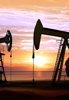 IEA họp khẩn về việc xả kho dự trữ dầu chiến lược trong ngày 1/4
