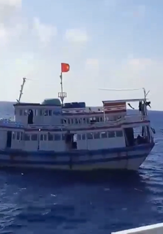 Cứu tàu cá Bình Thuận gặp nạn về bờ an toàn