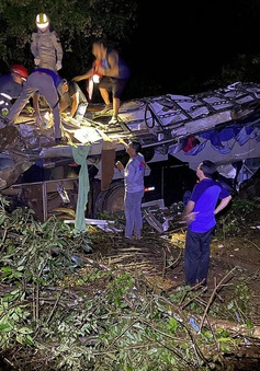 Xe bus lao xuống vực ở Brazil, hàng chục người thương vong