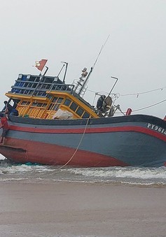 Làng biển Phú Yên nỗ lực khắc phục hậu quả thiên tai