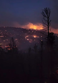 Hai người thiệt mạng, hàng trăm ngôi nhà bị thiêu rụi trong trận cháy rừng ở New Mexico