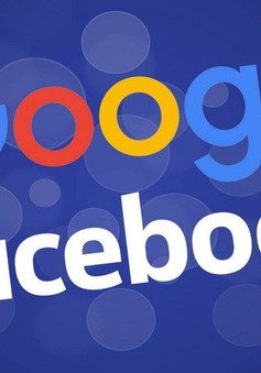 Google, Facebook... phải kê khai, nộp thuế trước 30/4