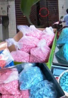 Triệt phá đường dây buôn bán ma túy từ Đức về Việt Nam