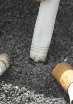Chất thải thuốc lá - nguồn gây ô nhiễm nhựa phổ biến nhất trên thế giới