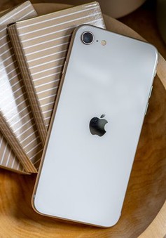 Mẫu iPhone rẻ nhất của Apple mở bán tại Việt Nam