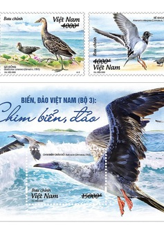 Phát hành bộ tem "Biển, đảo Việt Nam: Chim biển, đảo"