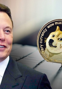 Elon Musk bị đòi bồi thường 258 tỷ USD vì thao túng Dogecoin