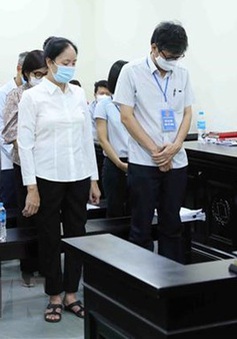 Nguyên Tổng Giám đốc DAB Trần Phương Bình bị phạt thêm 10 năm tù