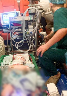 Vượt gần 700km, đặt ECMO cứu bé trai bị sốc phản vệ, phù phổi cấp, suy tuần hoàn