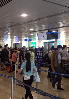Nhiều chuyến bay bị chậm, hủy chuyến tại Tân Sơn Nhất