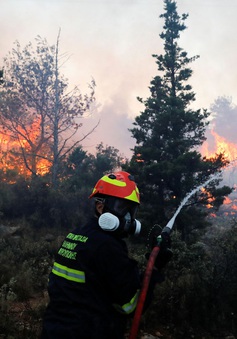 Cháy rừng hoành hành gần Athens, nhiều ngôi nhà bị thiệt hại