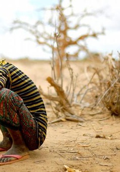Gần 250.000 người ở Somalia đối mặt với nạn đói