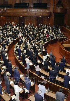 Nhật Bản tổ chức bầu cử Thượng viện trong bối cảnh an ninh thắt chặt