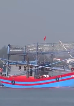 Tàu câu mực khơi - cột mốc sống về chủ quyền biển đảo
