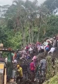 Lở đất ở Colombia khiến 3 trẻ em thiệt mạng