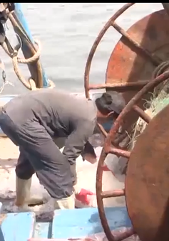 Đà Nẵng xử lý các tàu không đủ điều kiện khai thác hải sản neo đậu tại âu thuyền Thọ Quang