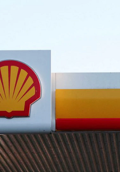 Shell lại phá kỷ lục với 11,5 tỷ USD lợi nhuận