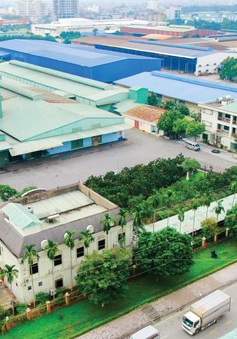 Kingbond Việt Nam và câu chuyện keo silicone được sản xuất trên đất Việt