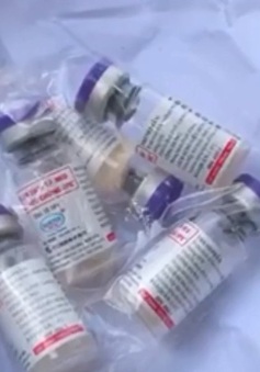 Cảnh báo tình trạng giả vaccine dịch tả lợn châu Phi