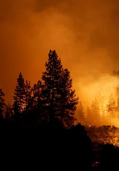 Cháy rừng dữ dội ở California mở rộng phạm vi gấp 62 lần trong đêm