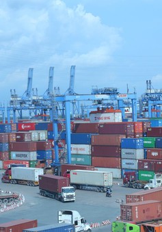 TP Hồ Chí Minh đề xuất miễn, giảm thu phí cảng biển