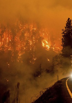 Cháy rừng bùng phát nhanh ở Bắc California, hàng nghìn cư dân phải sơ tán
