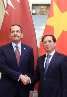 Việt Nam - Qatar tăng cường thương mại, đầu tư