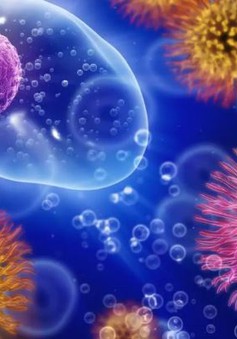 Phát hiện tế bào miễn dịch chống lại ung thư và bệnh mạn tính