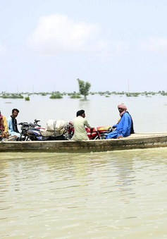 Các nước hỗ trợ Pakistan khắc phục hậu quả mưa lũ