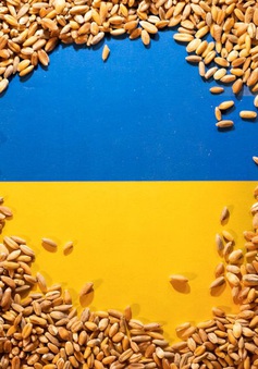 LHQ kêu gọi tiếp tục giải phóng các kho chứa ngũ cốc ở Ukraine
