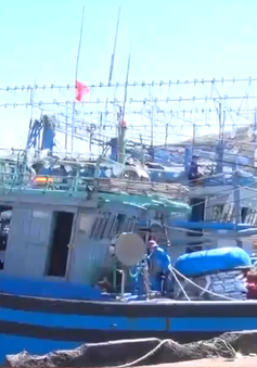 Bình Định hỗ trợ hơn 76 tỷ đồng cho tàu đánh bắt cá xa bờ