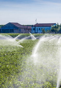 EC kêu gọi tái sử dụng nước thải cho tưới tiêu nông nghiệp