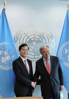 Tổng Thư ký đánh giá cao đóng góp của Việt Nam tại Liên Hợp Quốc