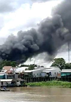 Hỏa hoạn thiêu rụi 3 căn nhà tại An Giang, cột khói cao hàng chục mét