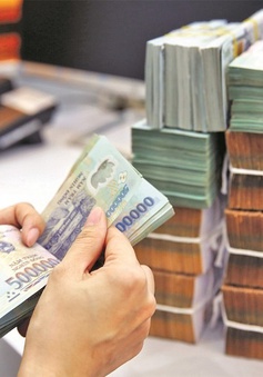Moody's: Nợ công của Việt Nam ở mức 39% GDP trong vài năm tới