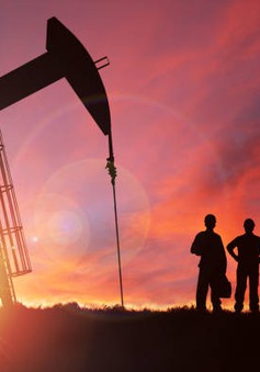 Giá dầu giảm mạnh do triển vọng nhu cầu yếu