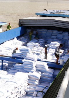 Ấn Độ hạn chế xuất khẩu, nhiều doanh nghiệp tìm mua gạo Việt