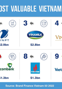 Trị giá top 50 thương hiệu giá trị nhất Việt Nam tăng 36%