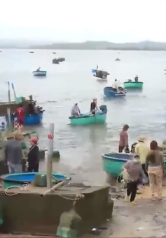 Ngư dân Phú Yên chạy bão cho tôm hùm