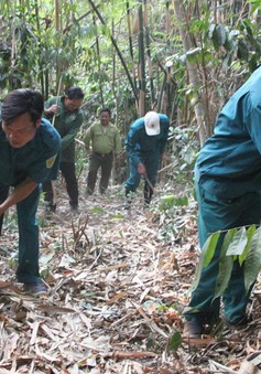 Khánh Hoà tăng cường các chốt bảo vệ rừng giáp ranh