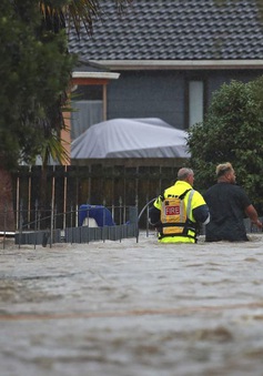 Mưa xối xả gây lũ lụt thảm khốc ở New Zealand, 3 người tử vong
