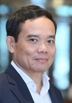 [INFOGRAPHIC] Quá trình công tác của Phó Thủ tướng Trần Lưu Quang