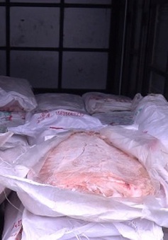 Hà Nội: Thu giữ gần 1 tấn nầm lợn bốc mùi hôi thối