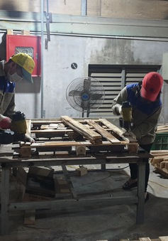 Đề xuất đẩy nhanh hoàn thuế GTGT cho gỗ xuất khẩu