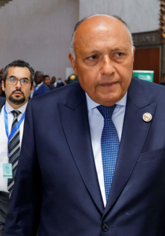 Ngoại trưởng Ai Cập “phá băng” quan hệ với chuyến thăm Syria và Thổ Nhĩ Kỳ