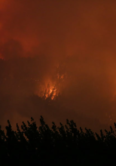 Ít nhất 24 người tử vong ở Chile khi cháy rừng lan rộng