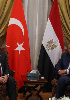 Thổ Nhĩ Kỳ và Ai Cập tiến tới bình thường hóa quan hệ